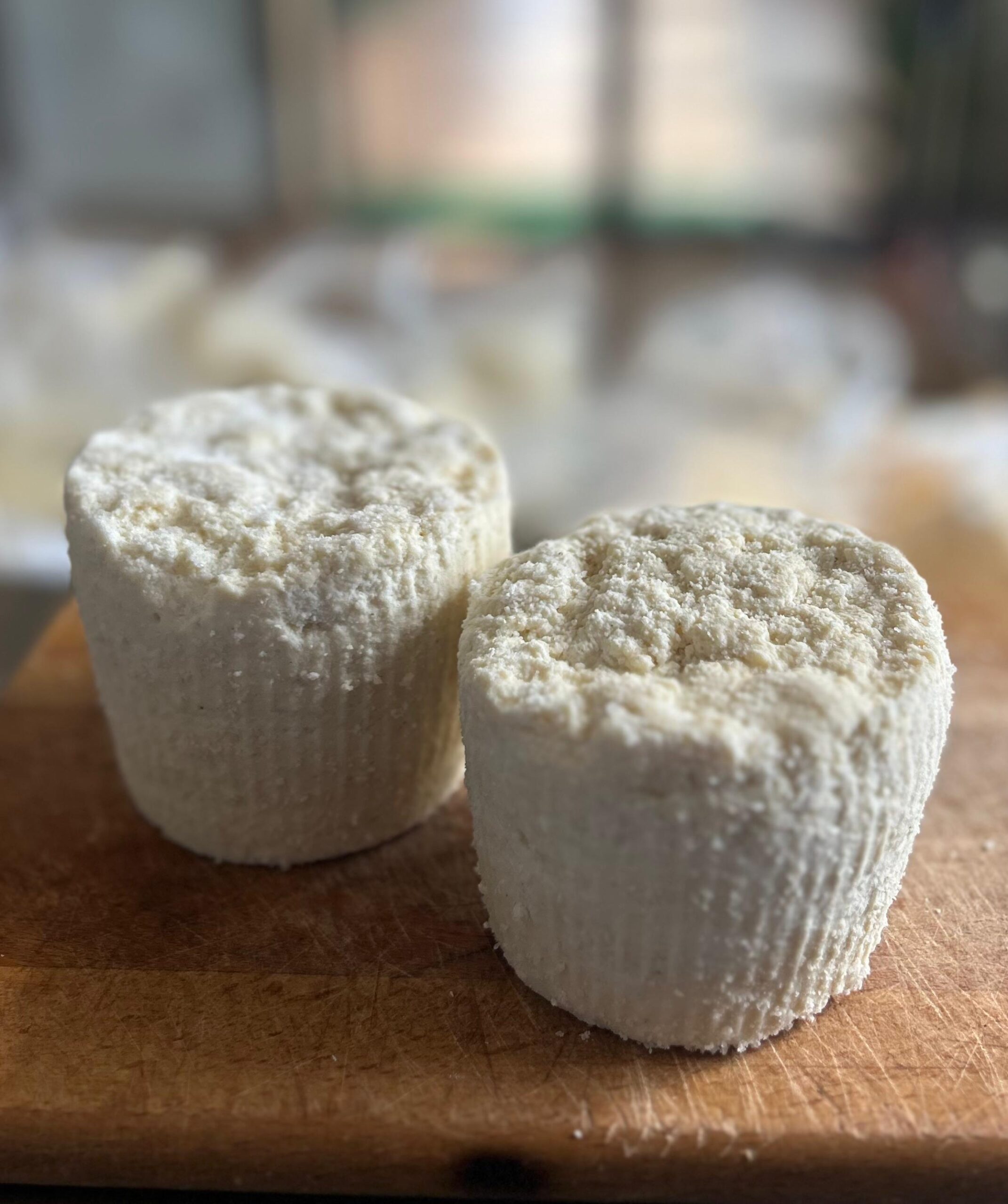 ricotta salata